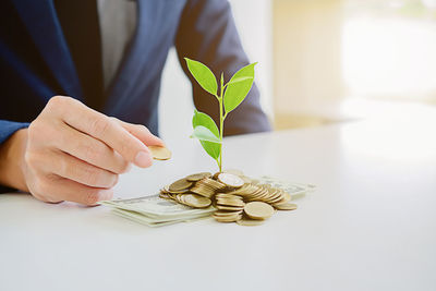 Cropped image of businessman putting coin by plant on table