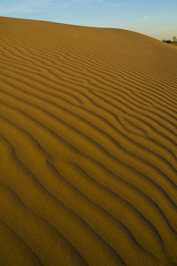 Scenic view of sand dune in desert against sky