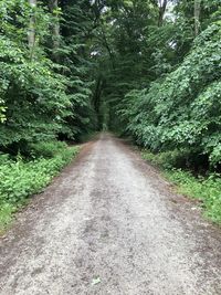 Road amidst trees in forest