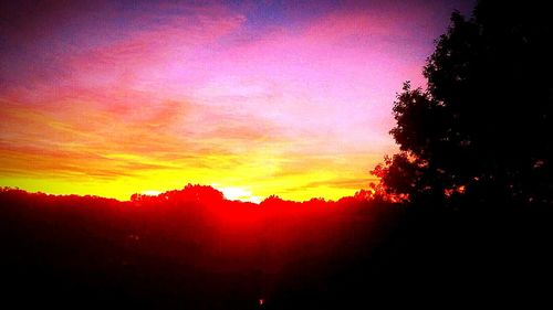 Silhouette of trees at sunset