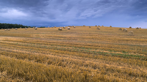 Hay bales on field against sky