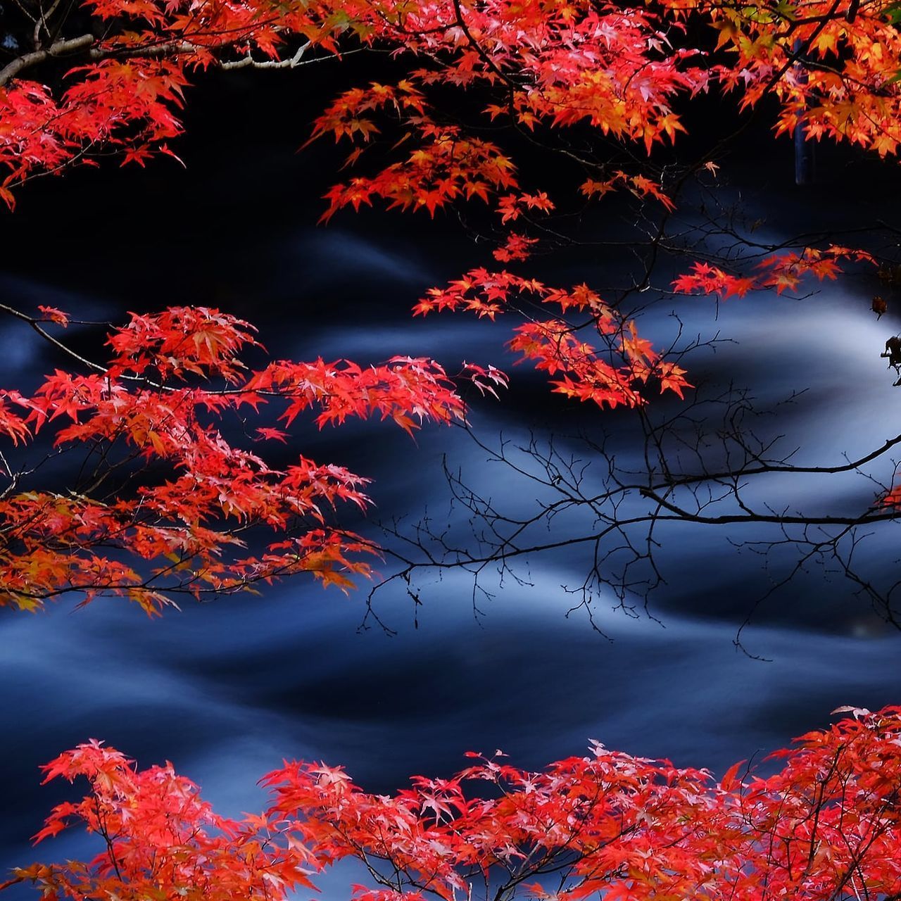 REFLECTION OF AUTUMN TREES IN LAKE DURING SUNSET