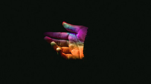 Close-up of hand holding flower over black background
