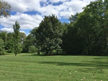 Trees on landscape against sky