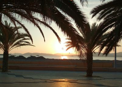 Silhouette palm trees by swimming pool against sky during sunset