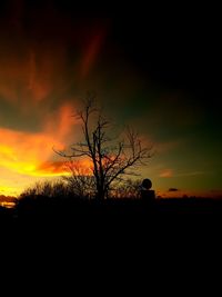 Silhouette trees on field against orange sky