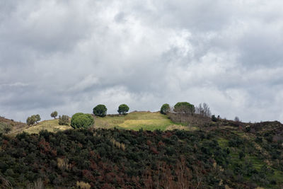 Scenic view of land against sky