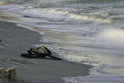Close-up of crab on beach