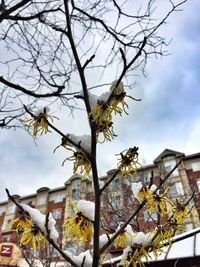 Low angle view of building against sky