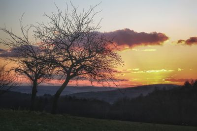 Silhouette bare tree on landscape against sky at sunset