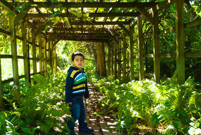 Portrait of boy standing amidst plants in covered walkway