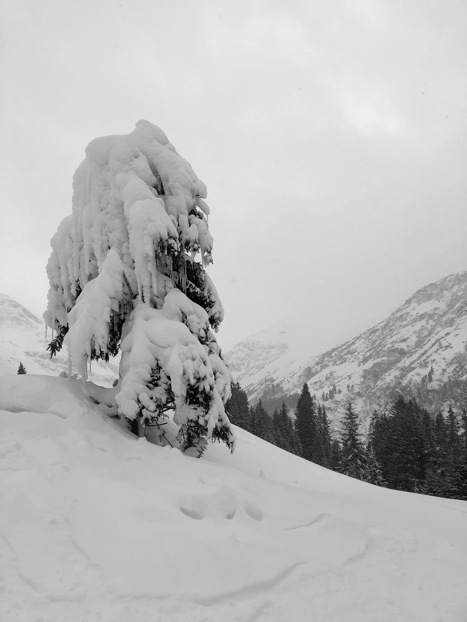 SNOW COVERED LAND AGAINST SKY