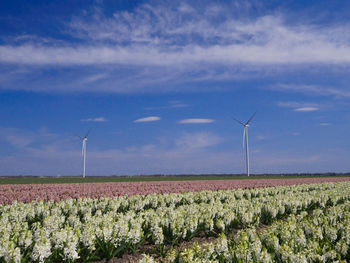 Wind turbines on field against sky