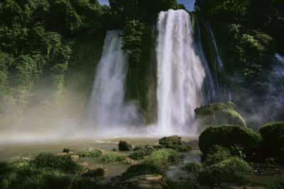 Scenic view of waterfall in forest