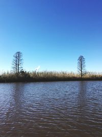 Scenic view of lake against clear blue sky