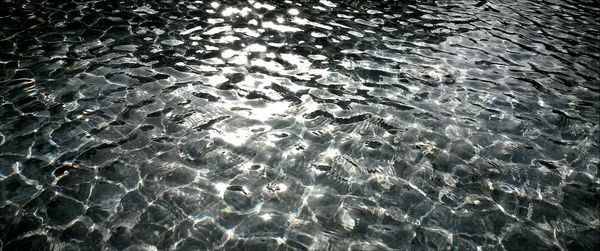 Full frame shot of water surface