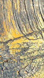 Detail shot of a surface