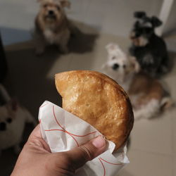 Midsection of person holding small dog