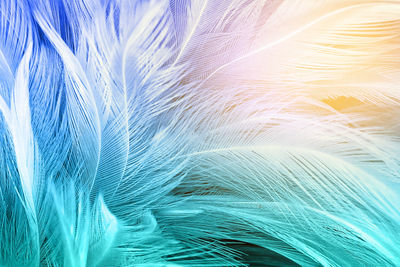 Green turquoise and blue color trends chicken feather texture background,light orange