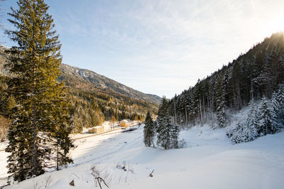 Snow covered land and trees against sky