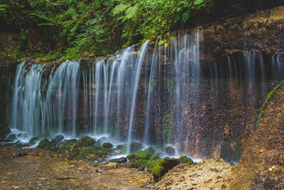 Scenic view of waterfall in forest