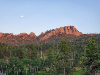 Scenic view of landscape against clear sky