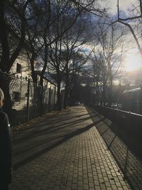 Footpath along trees