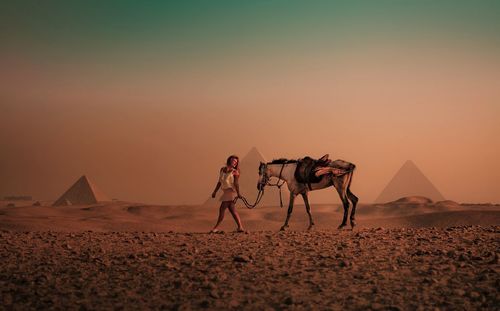 Full length of woman with horse walking on desert during sunset