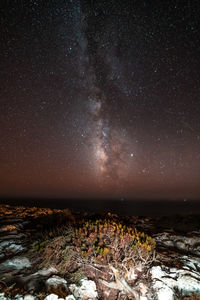 Scenic view of landscape against sky at night
