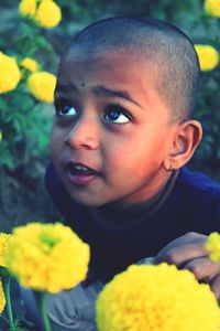 Close of boy by yellow flowers