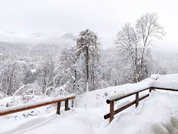 Snow covered field by trees against sky