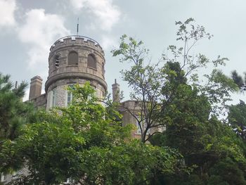 Low angle view of trees and plants against sky