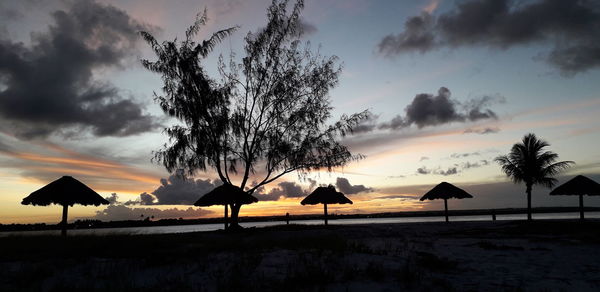 Silhouette trees on beach against sky at sunset