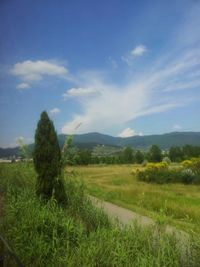 Scenic view of grassy field against cloudy sky