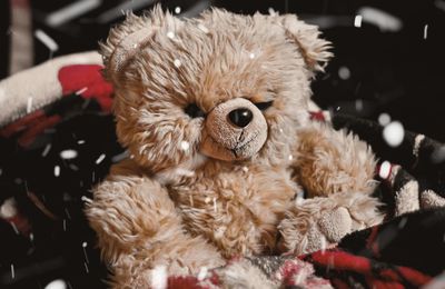 Close-up of stuffed toy