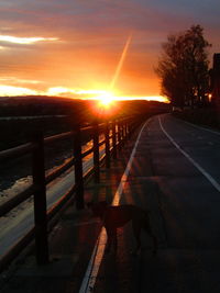 Road amidst silhouette trees against sky during sunset