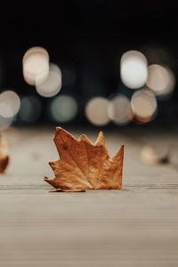 Close-up of dried autumn leaf on table