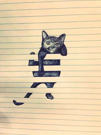 animal themes