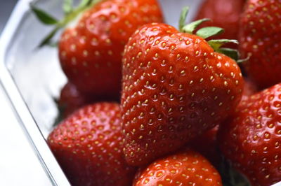 Close-up of strawberries