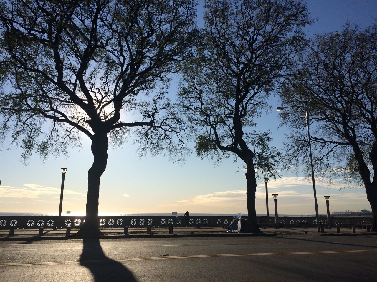 Muelle De La Costanera