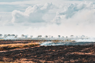 Scenic view of burnt field against sky