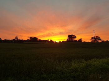 Scenic view of silhouette field against sky during sunset