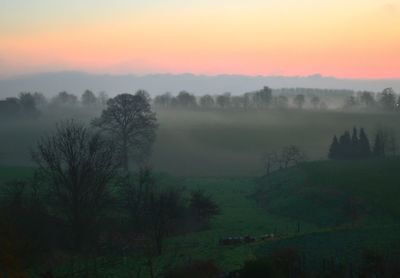 Scenic view of landscape against sky during foggy weather