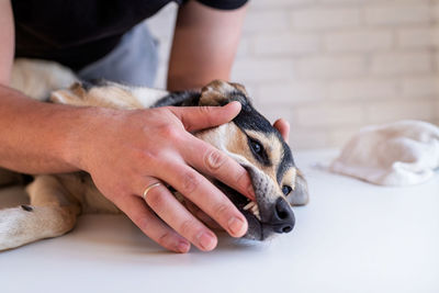 Midsection of woman with dog