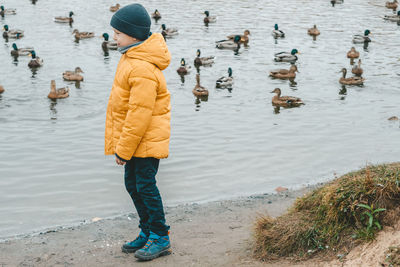 A boy in a yellow jacket feeds ducks on the lake, copy space. feeding the ducks with bread.