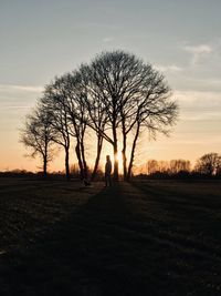 Silhouette bare tree on field against sky during sunset