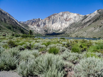 Scenic view of landscape and mountains against blue sky