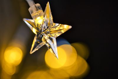 Close-up of yellow flower against black background