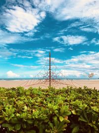 View of flowering plants on beach against sky