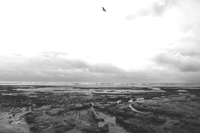 Birds flying over beach against sky